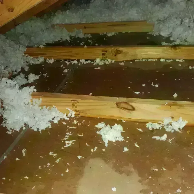 Attic Water Damage in Brown County, OH